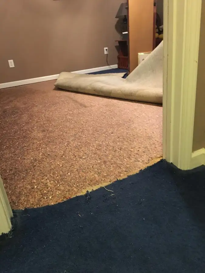Carpet pad removal revealing water damage during Water Mitigation Services in Jeannette