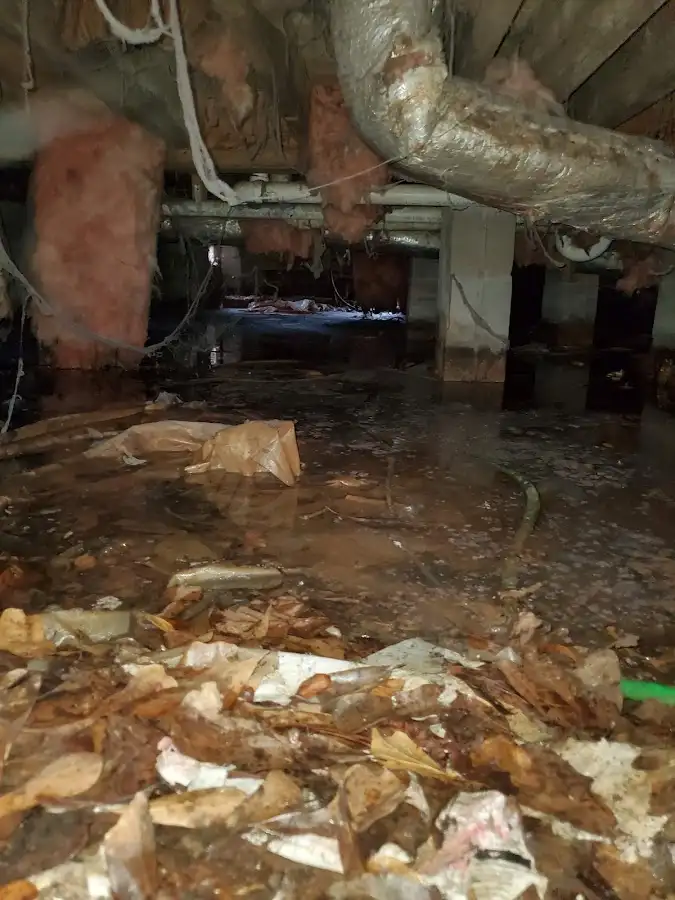 Crawl space flood assessment for Commercial Water Damage Restoration in Jeannette