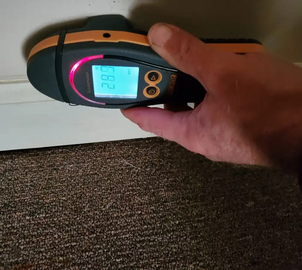 Moisture detection at baseboard during Burst Pipe Cleanup in Jeannette